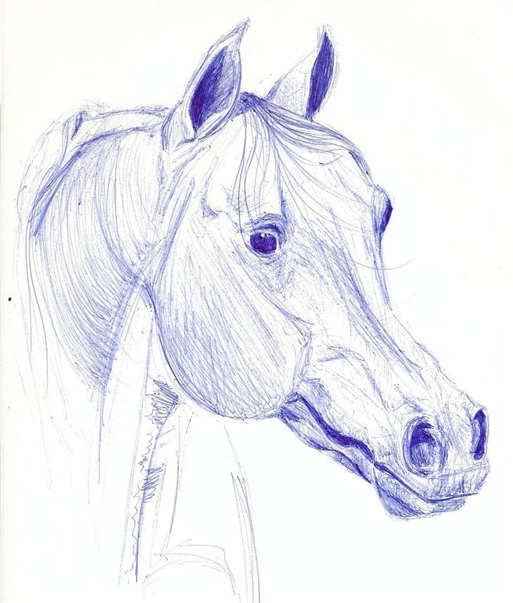 Mine Tegninger - Kuglepenne er bare yndlings, det bliver næsten altid fint :D
#Araber, 09 billede 2