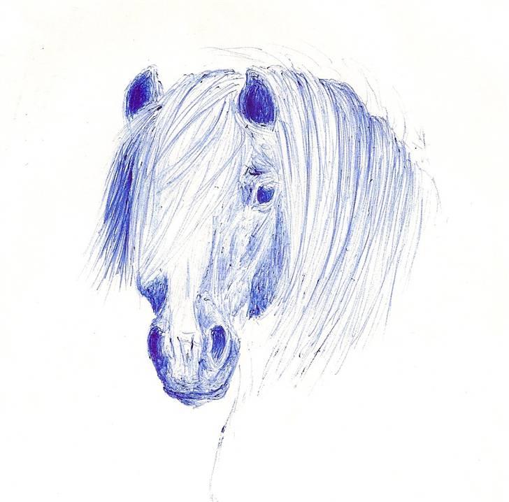 Mine Tegninger - Første rigtige forsøg med hvide aftegn sammen med kuglepen
#Pony, 09 billede 1