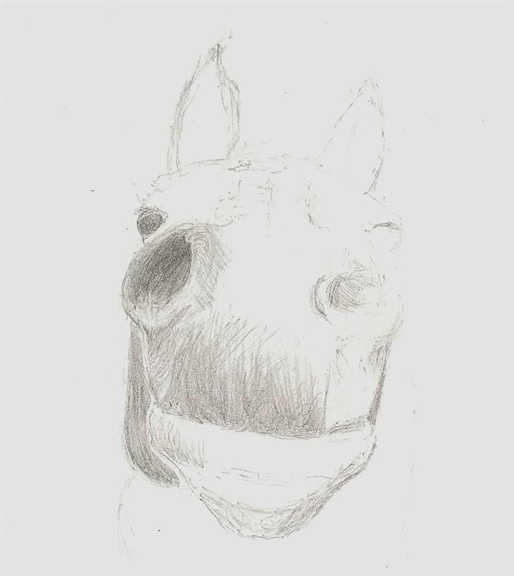 Mine Tegninger - Er super dårlig til at genoptage tegninger.., mon den nogensinde bliver færdig?
#Kiwa, 08 billede 3