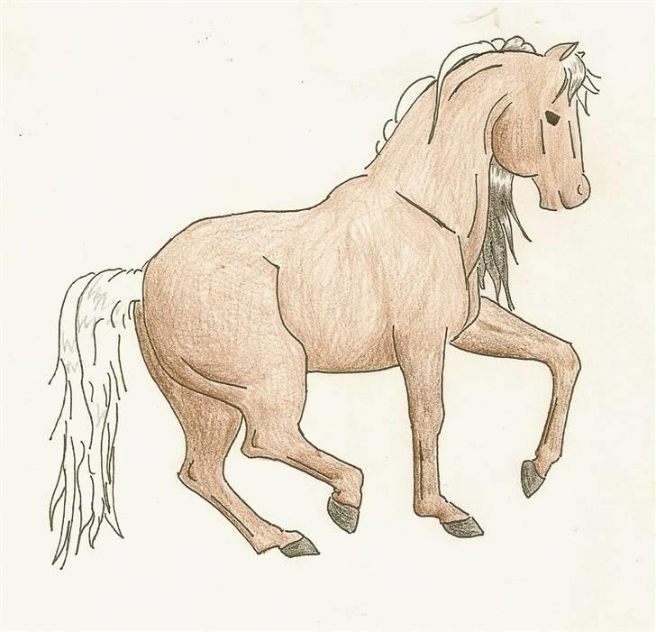 Mine Tegninger - A little Piaffe
spansk/pony, 07 billede 4