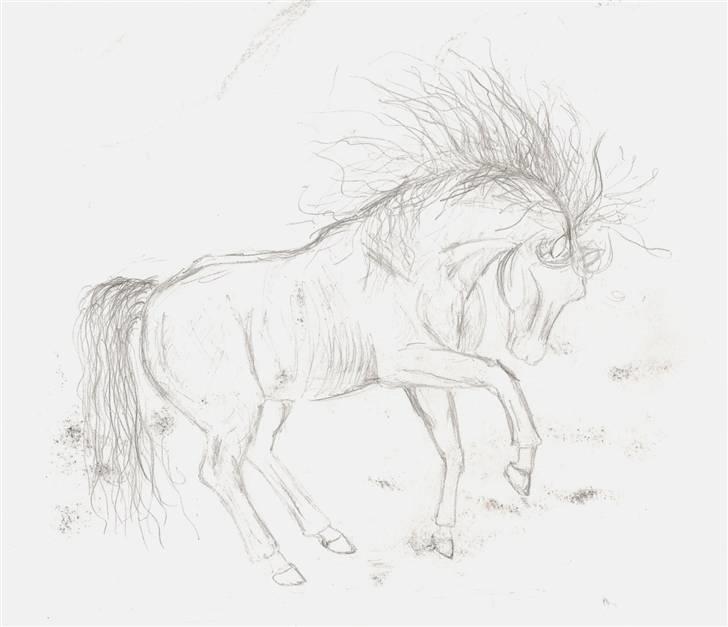 Mine Tegninger - Blyanter er nu også meget fine at lege med
legende hest, 06 billede 5