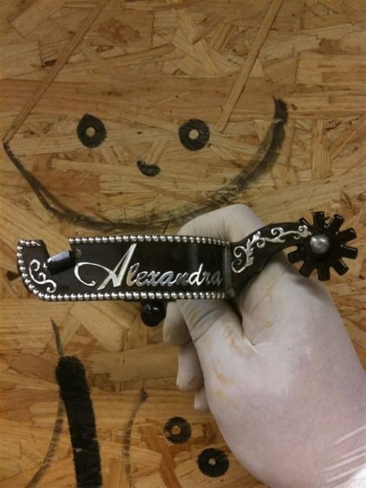 Alexandra's special bestilt/lavet julegave billede 3