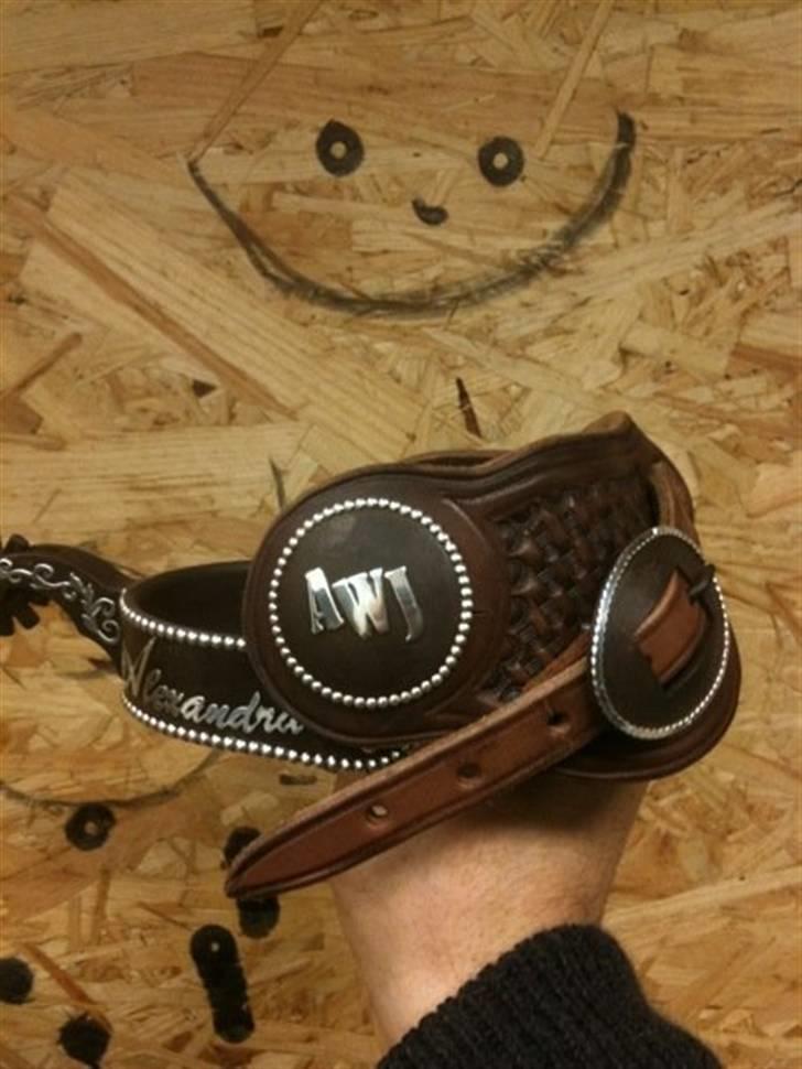 Alexandra's special bestilt/lavet julegave billede 4