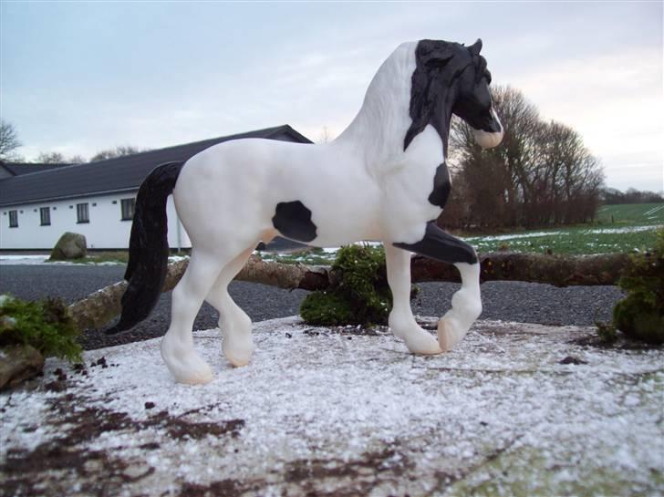 Breyer modelheste - Nu med nye billeder! - Gypsy King - Irish Cob hingst. billede 32