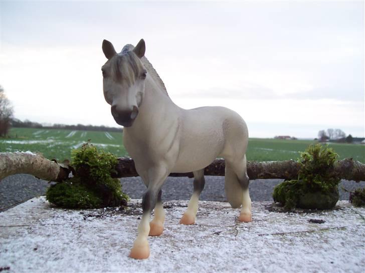 Breyer modelheste - Nu med nye billeder! - Silver wolfe - Limited edition Silver grey fjord. billede 33