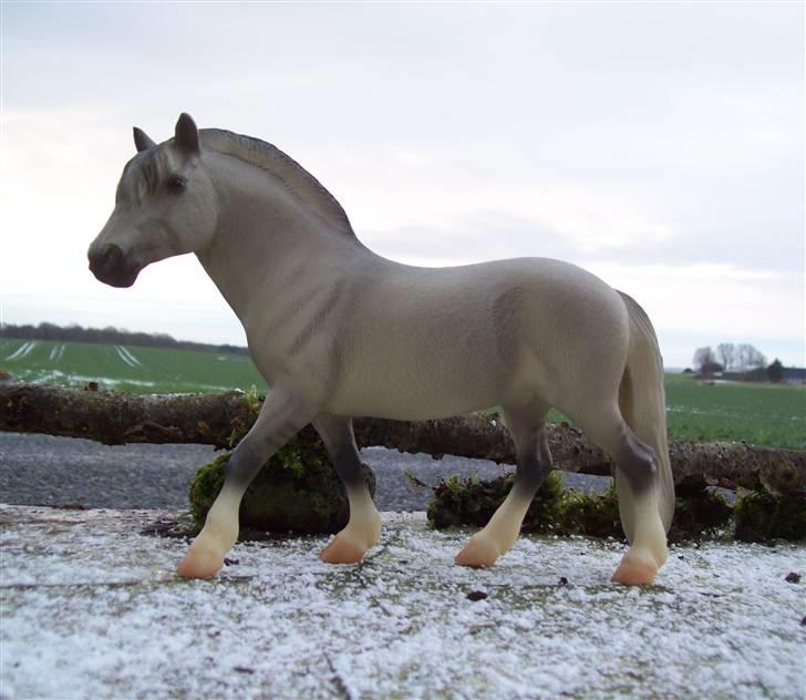 Breyer modelheste - Nu med nye billeder! - Silver wolfe - Limited edition Silver grey fjord. billede 34