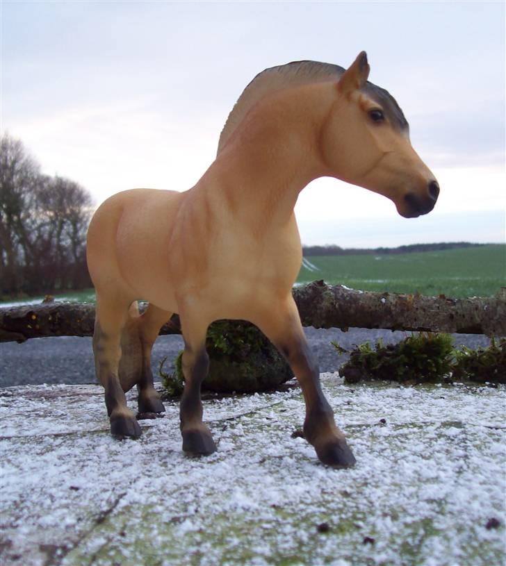 Breyer modelheste - Nu med nye billeder! - Henry - Norwegian Fjord. billede 36