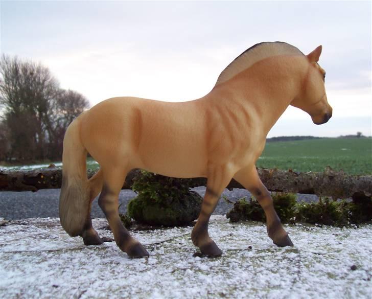 Breyer modelheste - Nu med nye billeder! - Henry - Norwegian Fjord. billede 37