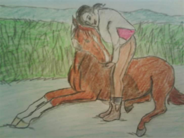 © Mine tegninger :) - Her er Mai Thomsens dejlige hest, Meyer. Mai hedder bare "mai thomsen ." herinde på HG, og hesten er anden særlig race, og hedder som sagt Meyer. Så I kan selv lige tage en kigger, hun har nogle rigtig gode billeder, som jeg godt kunne tænke mig at bruge igen :)
Link: http://www.hestegalleri.dk/html/gal_visbil.asp?ID=46375 billede 46