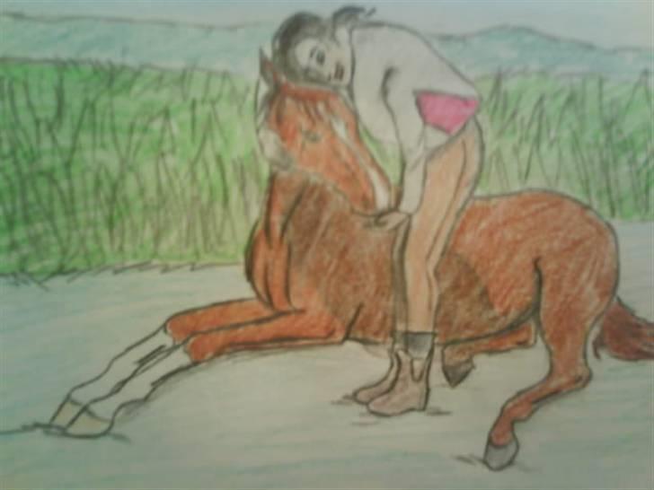 © Mine tegninger :) - Her er Mai Thomsens dejlige hest, Meyer. Mai hedder bare "mai thomsen ." herinde på HG, og hesten er anden særlig race, og hedder som sagt Meyer. Så I kan selv lige tage en kigger, hun har nogle rigtig gode billeder, som jeg godt kunne tænke mig at bruge igen :)
Link: http://www.hestegalleri.dk/html/gal_visbil.asp?ID=46375 billede 48