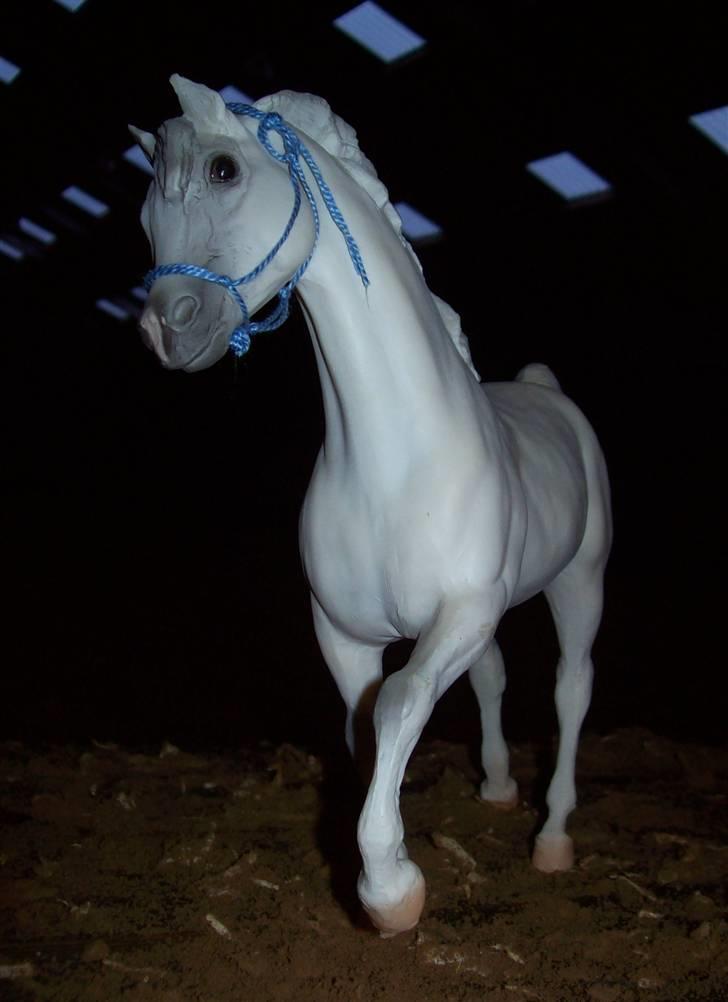 Breyer modelheste - Nu med nye billeder! - Equus - Arabisk fuldblod. billede 47