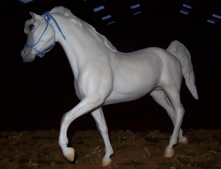 Breyer modelheste - Nu med nye billeder! - Equus - Arabisk fuldblod. billede 48