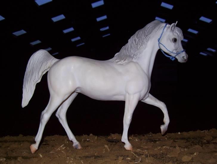 Breyer modelheste - Nu med nye billeder! - Equus - Arabisk fuldblod. billede 50