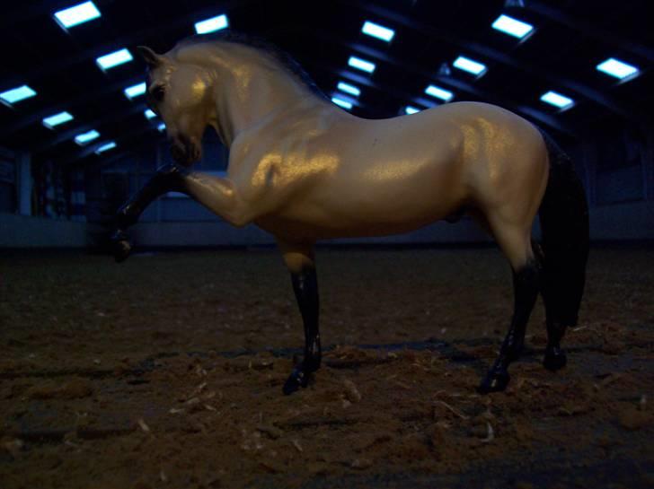 Breyer modelheste - Nu med nye billeder! - Lavrador - Lusitano hingst. billede 52