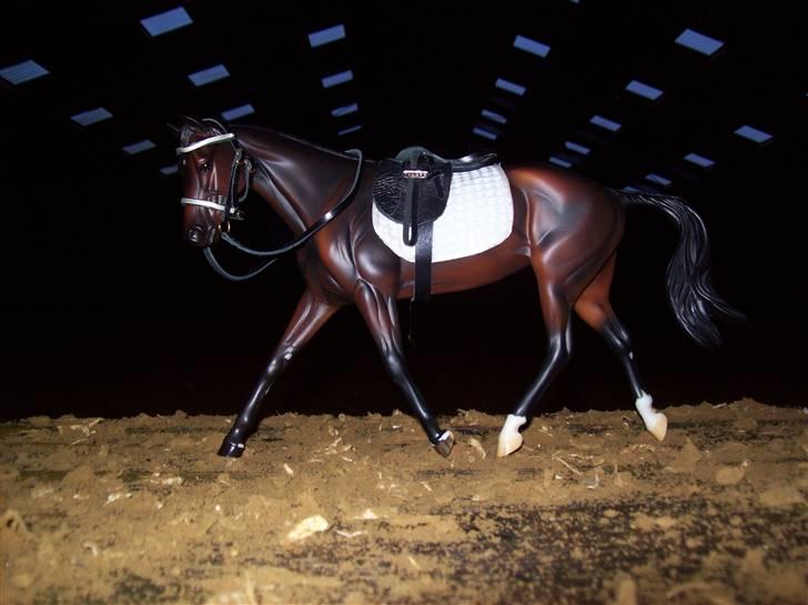 Breyer modelheste - Nu med nye billeder! - Strapples - Dansk varmblod - hoppe. billede 59