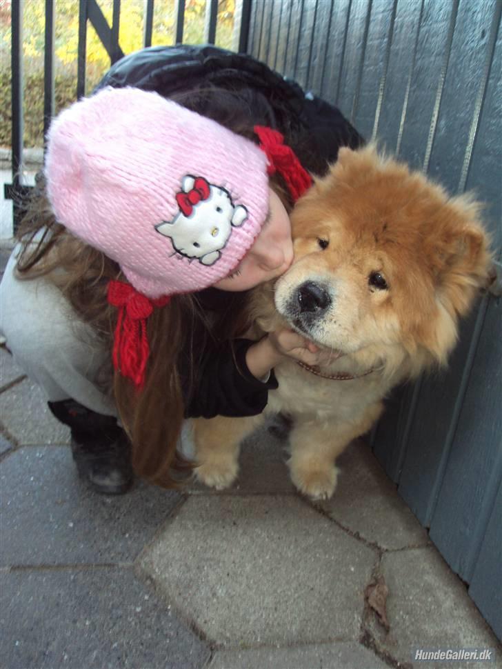 Mine hunde! *; - Kys til min dejlige hund! :* billede 9