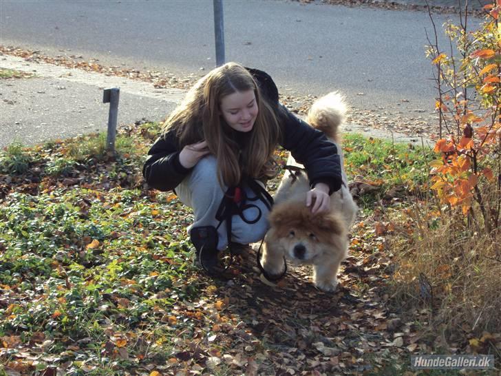 Mine hunde! *; - Elsker dig smukke! <3 billede 22