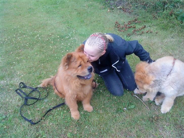 Mine hunde! *; - Uh ja :* <3 billede 36