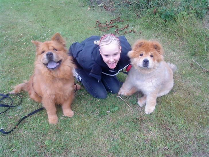 Mine hunde! *; - Haha annika er hund xD <3 billede 38