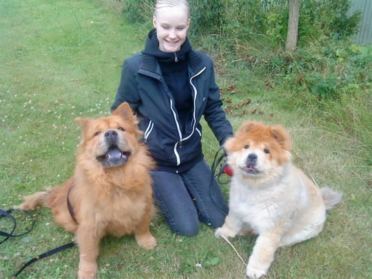 Mine hunde! *; - Elsker jer! <3<3 billede 39