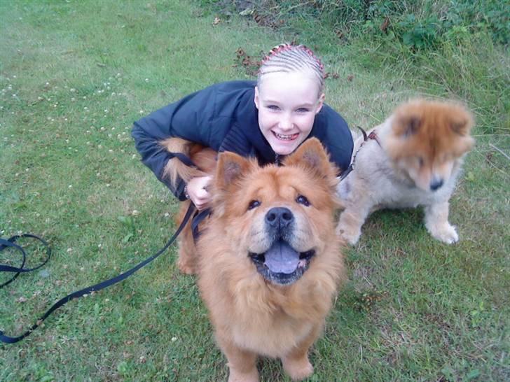 Mine hunde! *; - Det ser lidt forkert ud? xD billede 40