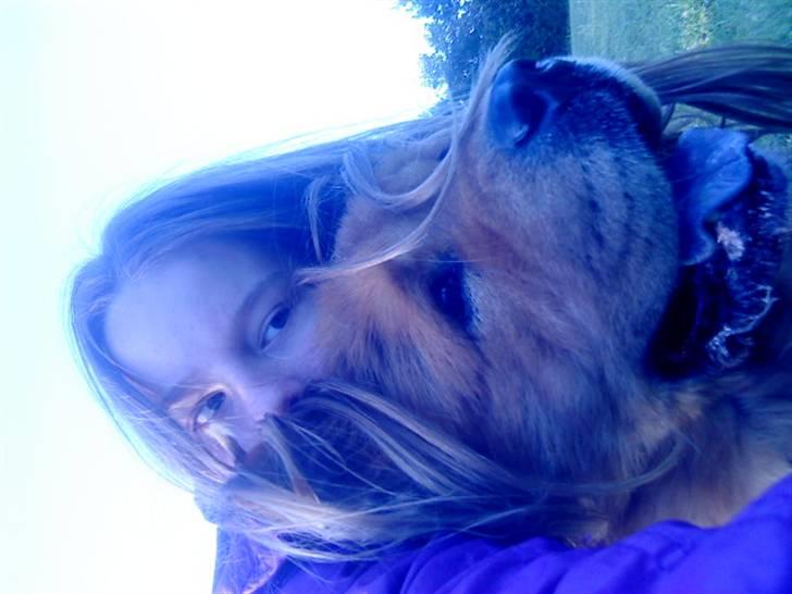 Mine hunde! *; - Dig og mig <3 billede 43