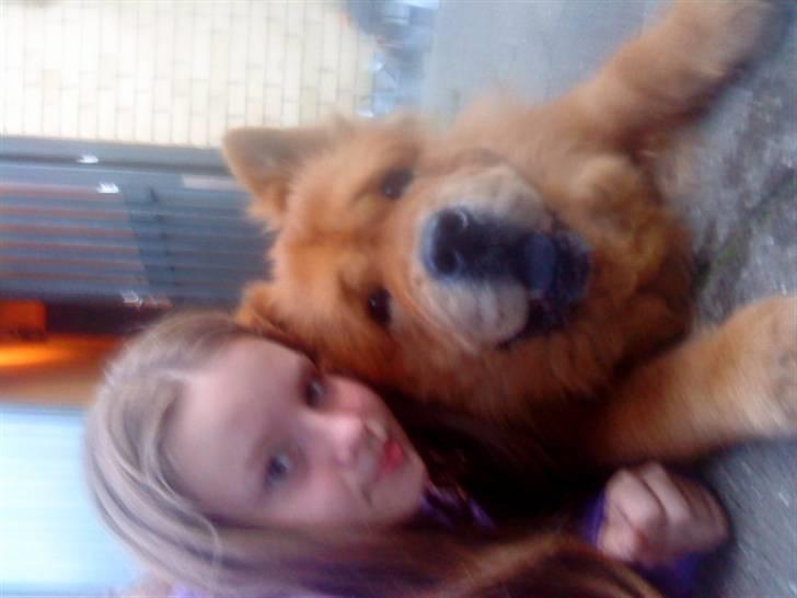 Mine hunde! *; - Kenzo and me! billede 116