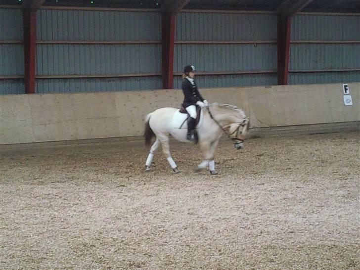 Stævne på Strøgården :D billede 1