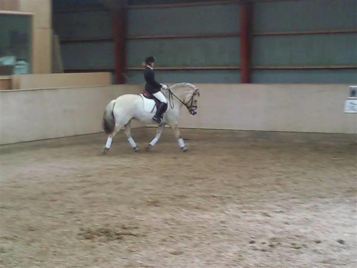 Stævne på Strøgården :D billede 2