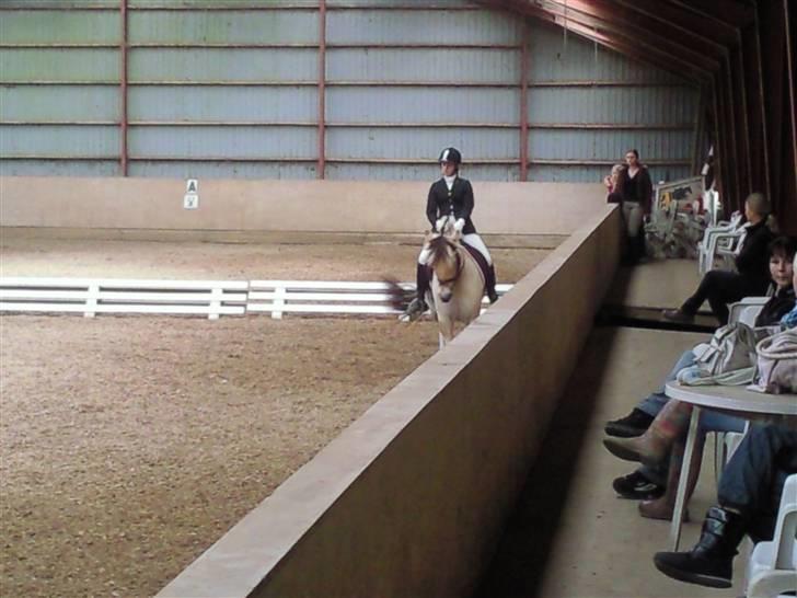 Stævne på Strøgården :D billede 3