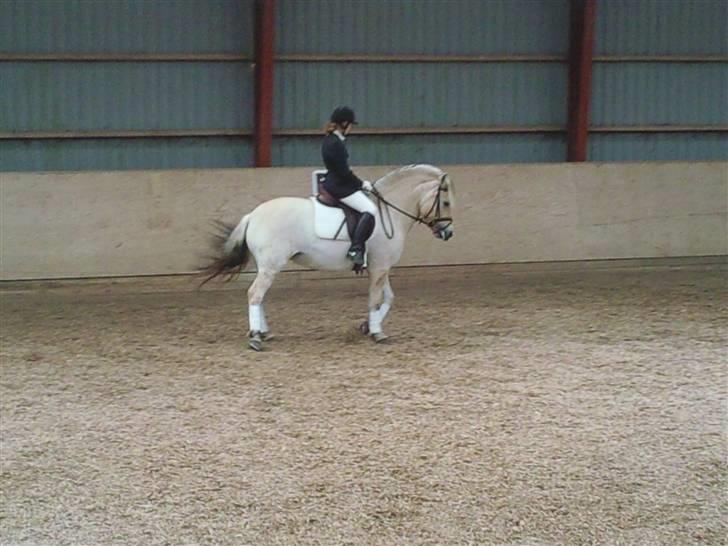 Stævne på Strøgården :D billede 4