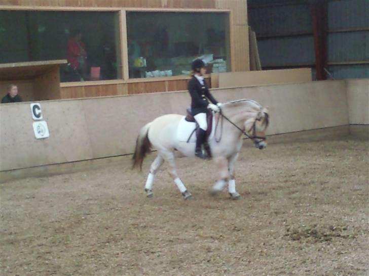 Stævne på Strøgården :D billede 5