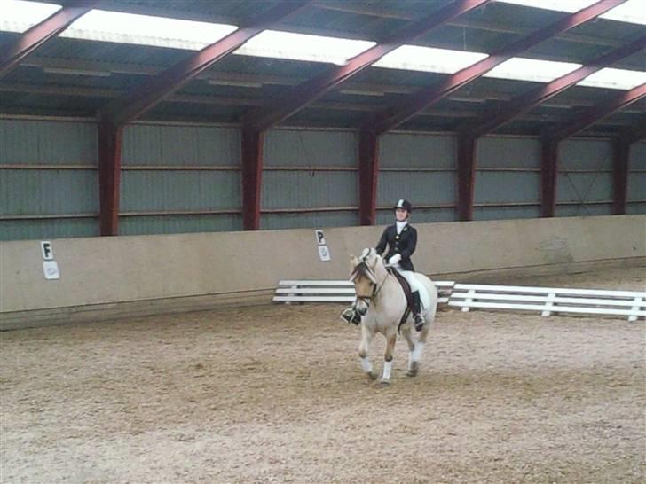 Stævne på Strøgården :D billede 6