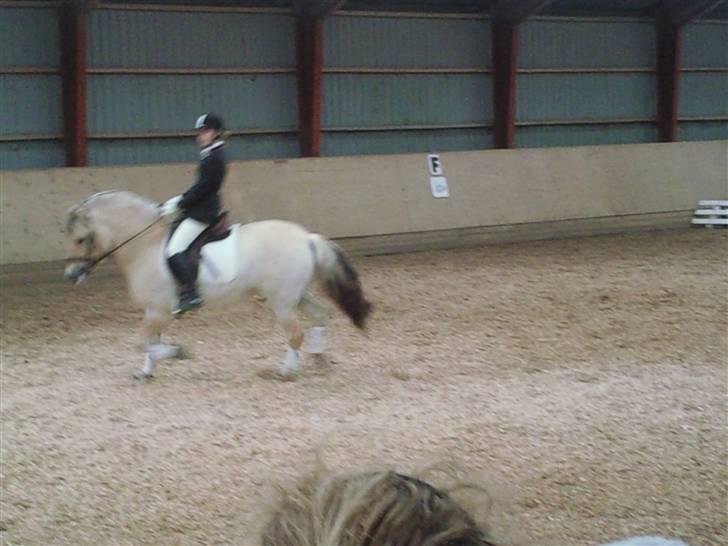 Stævne på Strøgården :D billede 7