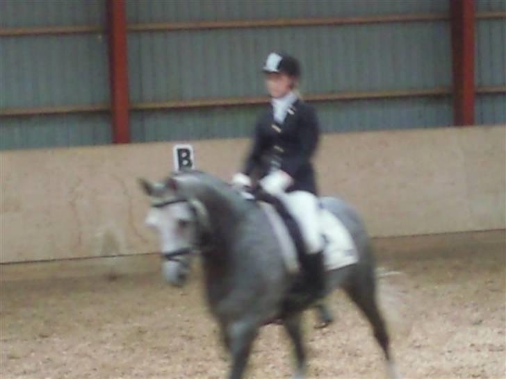 Stævne på Strøgården :D billede 11