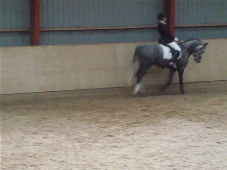 Stævne på Strøgården :D billede 14