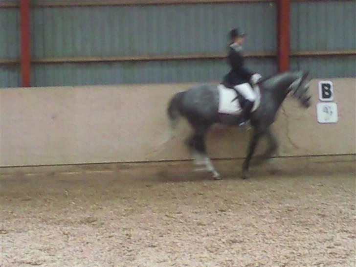 Stævne på Strøgården :D billede 15