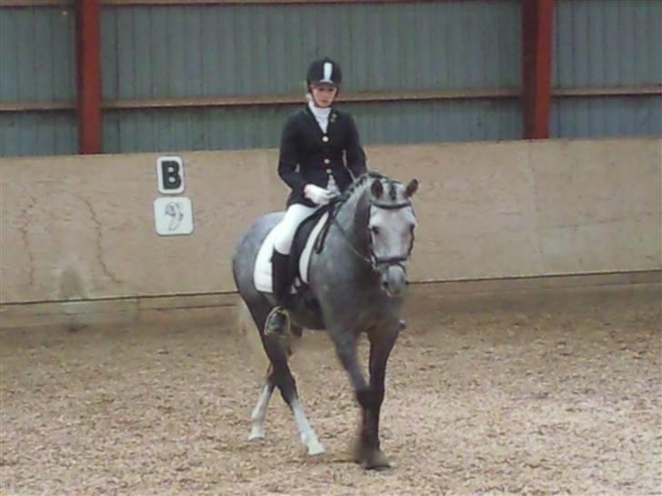 Stævne på Strøgården :D billede 16