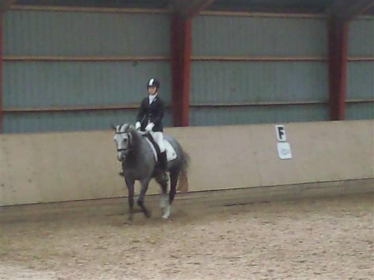 Stævne på Strøgården :D billede 18