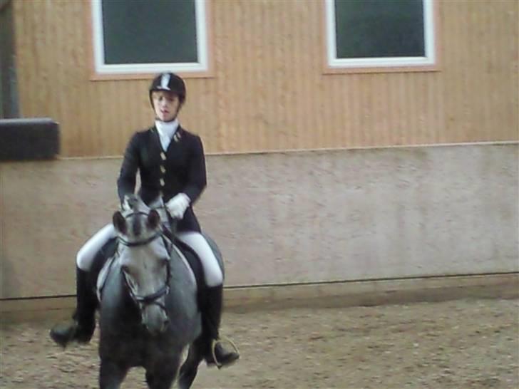 Stævne på Strøgården :D billede 19