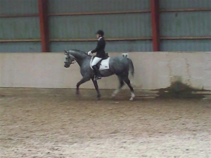 Stævne på Strøgården :D billede 20