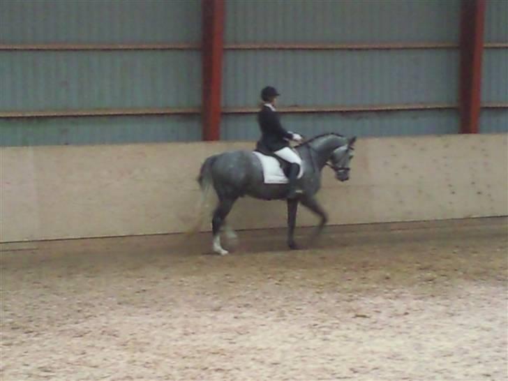 Stævne på Strøgården :D billede 21