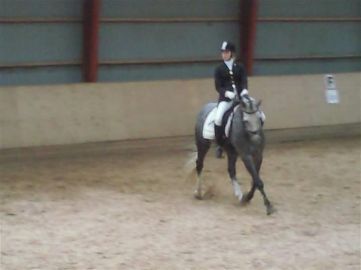 Stævne på Strøgården :D billede 22