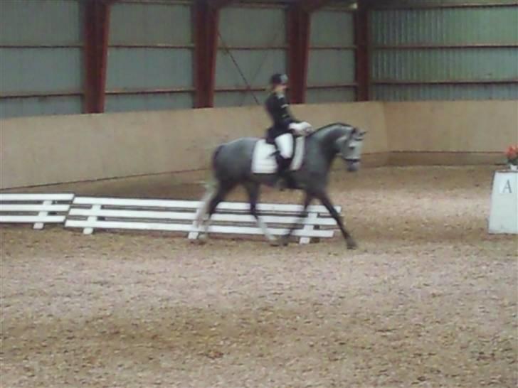 Stævne på Strøgården :D billede 26