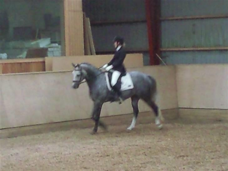 Stævne på Strøgården :D billede 29