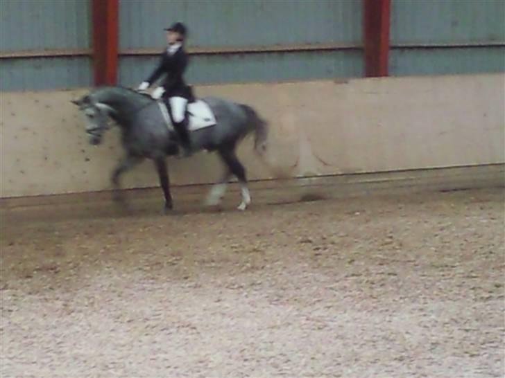 Stævne på Strøgården :D billede 30