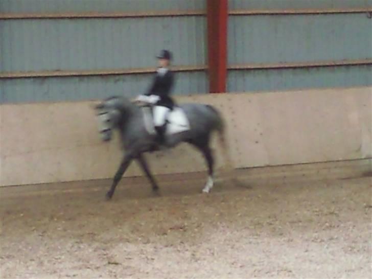 Stævne på Strøgården :D billede 31