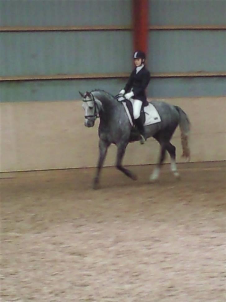 Stævne på Strøgården :D billede 32