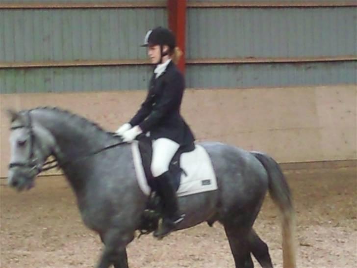 Stævne på Strøgården :D billede 34