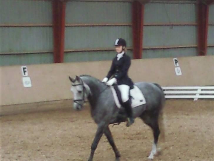 Stævne på Strøgården :D billede 35